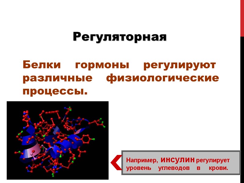 Регуляторная  Белки    гормоны    регулируют  различные 
